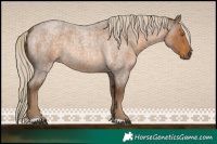 Horse Color:Chocolate Palomino Roan 