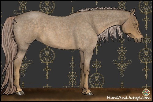 Horse Color:Chocolate Palomino Roan
