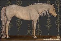Horse Color:Chocolate Palomino Roan 