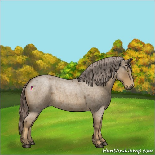 Horse Color:Chocolate Palomino Roan 