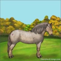 Horse Color:Chocolate Palomino Roan