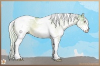 Horse Color:Watercolor White Spotted Silver Buckskin Chinchilla Dun Tobiano Rabicano 