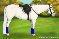 Horse Color:Cremello Dun 