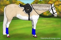 Horse Color:Palomino Roan Splash 