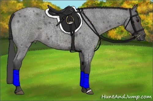 Horse Color:Smoky Blue Roan 