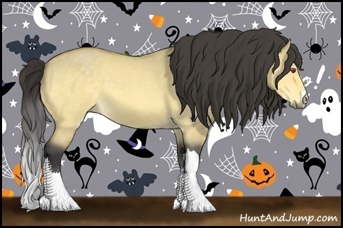 Horse Color:Buckskin Chinchilla Roan Dun 