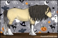 Horse Color:Buckskin Chinchilla Roan Dun 