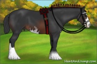 Horse Color:Brown Sabino