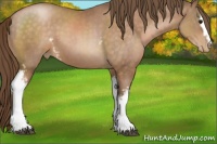 Horse Color:White Spotted Brown Pearl 