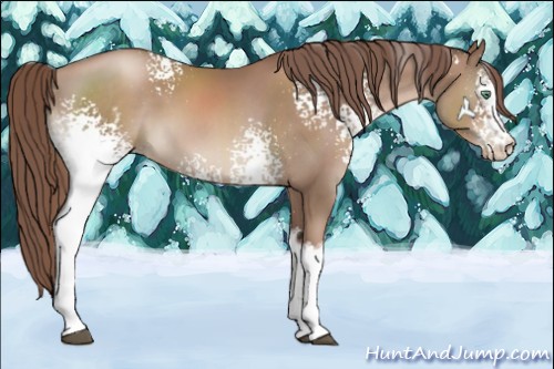 Horse Color:White Spotted Chocolate Black Pearl