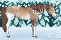 Horse Color:White Spotted Chocolate Black Pearl