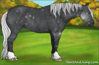 Horse Color:Silver Blue Chinchilla Roan Rabicano 
