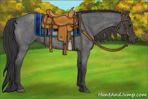 Horse Color:Smoky Blue Roan 