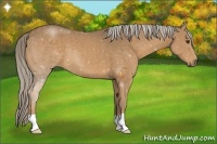 Horse Color:Chocolate Palomino 