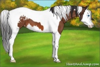 Horse Color:Bay Splash Tobiano Varnish 