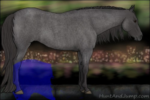 Horse Color:Smoky Blue Roan 