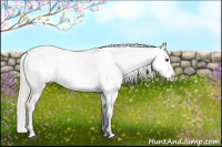 Horse Color:Silver Smoky Blue Roan Near Leopard 
