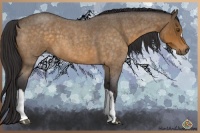 Horse Color:Buckskin Roan 