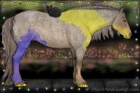 Horse Color:Chocolate Palomino Roan