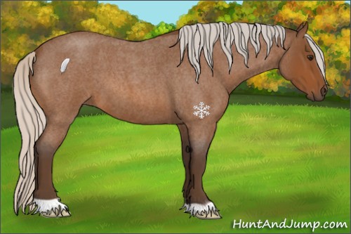 Horse Color:Silver Brown Roan