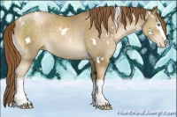 Horse Color:White Spotted Chocolate Smoky Black Pearl 