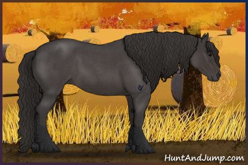 Horse Color:Smoky Blue Roan 