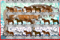 Horse Color:White Spotted Chocolate Palomino Sabino 