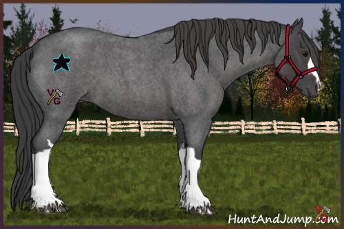Horse Color:Smoky Blue Roan 