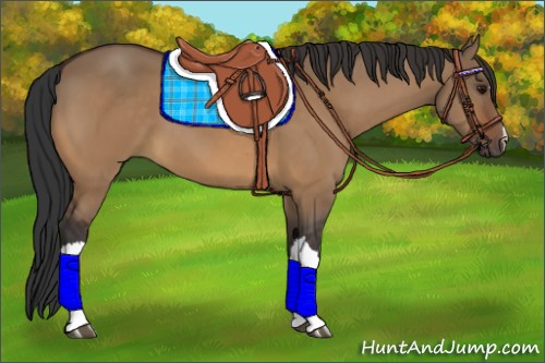 Horse Color:Brown Dun 