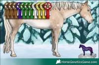 Horse Color:White Spotted Chocolate Palomino Pearl 