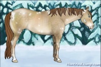 Horse Color:White Spotted Chocolate Smoky Black Pearl Sabino
