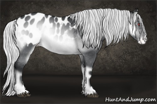 Horse Color:Silver Brown Chinchilla Onyx Sabino Blanket