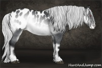 Horse Color:Silver Brown Chinchilla Onyx Sabino Blanket 