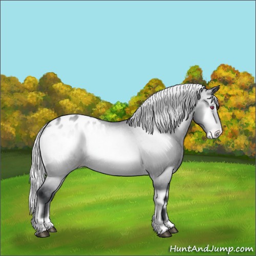 Horse Color:Silver Brown Chinchilla Onyx Appaloosa Rabicano