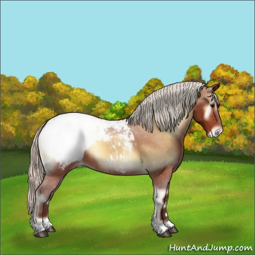 Horse Color:Silver Bay Onyx Appaloosa Rabicano 
