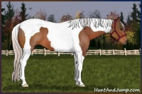 Horse Color:Silver Brown Tobiano 