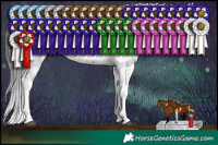 Horse Color:Brown Sabino 