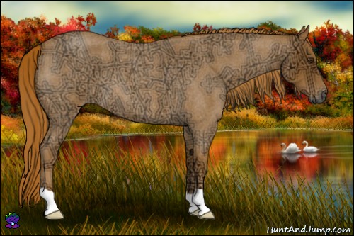 Horse Color:Red Ice Roan