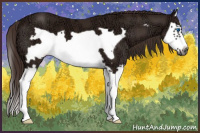 Horse Color:Gray Chestnut Ice Splash Frame 