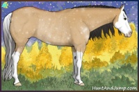 Horse Color:Bay Roan Dun Splash Rabicano 