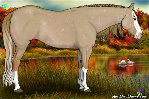 Horse Color:Watercolor Red Dun Splash Rabicano 