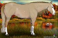 Horse Color:Watercolor Red Dun Splash Rabicano