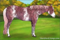 Horse Color:Watercolor White Spotted Chocolate Palomino Ice Sabino
