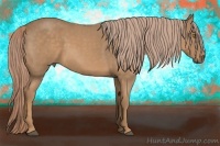 Horse Color:Palomino Roan