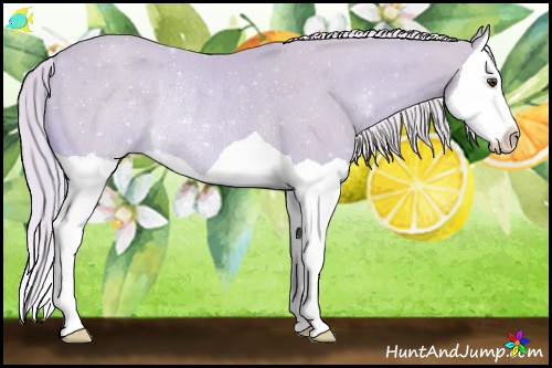 Horse Color:Watercolor Palomino Splash Rabicano