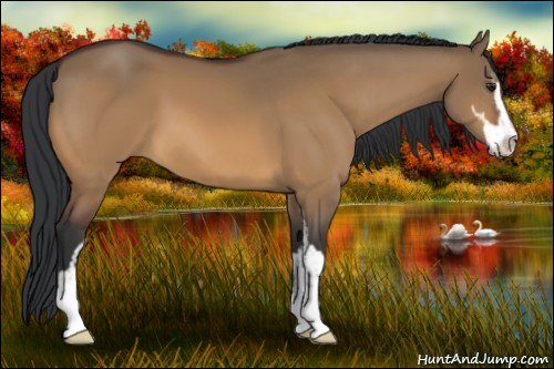 Horse Color:Bay Dun Sabino 