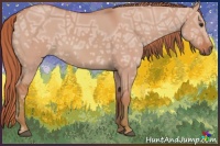Horse Color:Watercolor Red Dun Ice 