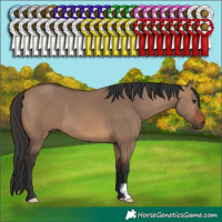 Horse Color:Brown Dun