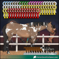 Horse Color:White Spotted Brown Dun 