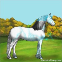 Horse Color:Thunderstruck Black Sabino Splash